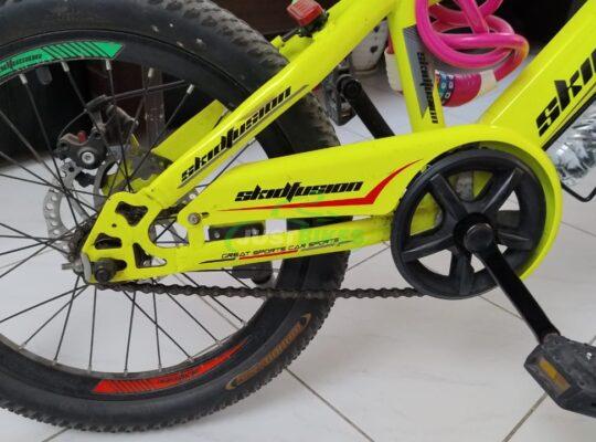 Green skid fusion bike for sale