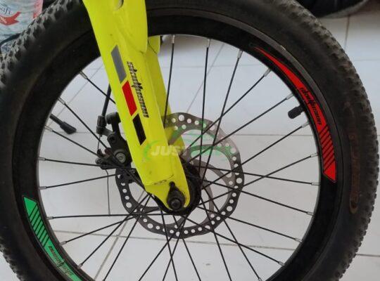 Green skid fusion bike for sale