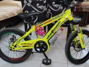 Green skid fusion bike for sale